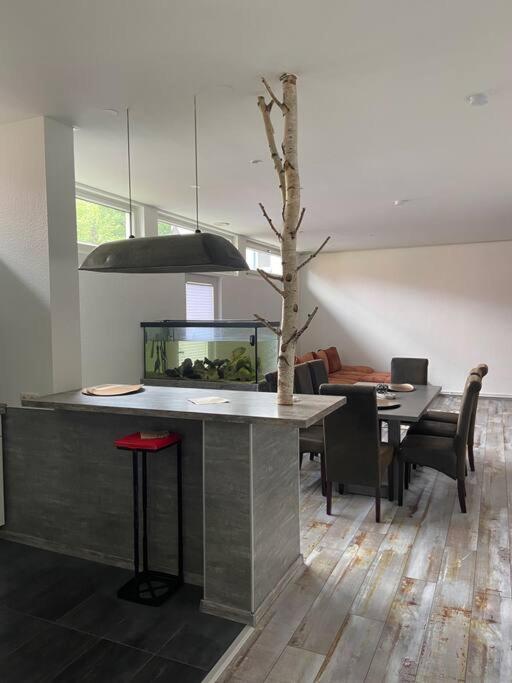 Bronzetaler Apartment บัดฮาร์ซบวร์ก ภายนอก รูปภาพ